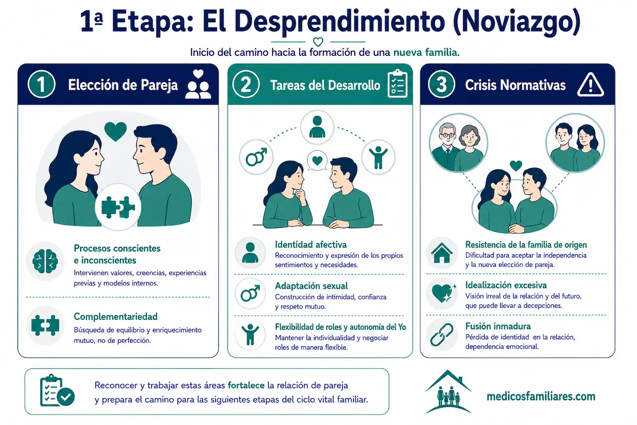 Infografia sobre las tareas y crisis del desprendimiento o noviazgo en el ciclo vital familiar