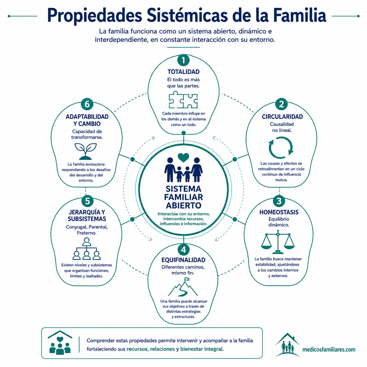 Propiedades de la teoría general de sistemas aplicadas a la familia en medicina familiar